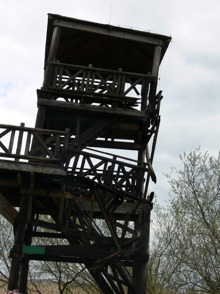 Spalili wieżę ornitologiczną, bo… mieli taki kaprys