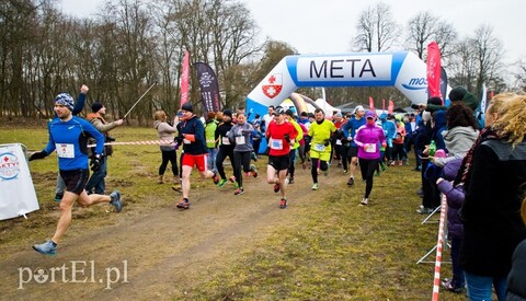 Leśny półmaraton pamięci Anny