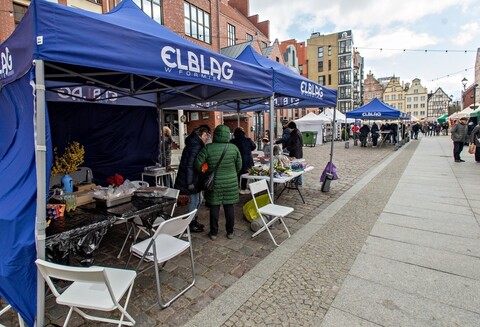 Stary Rynek nie dla aut