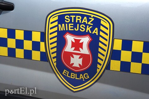 Straż Miejska podczas Święta Chleba
