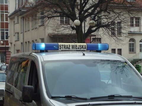 Pies to nie tylko przyjemność, ale i obowiązek!