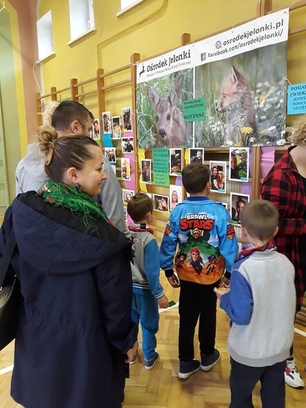 Szkolna wystawa na rzecz zwierząt