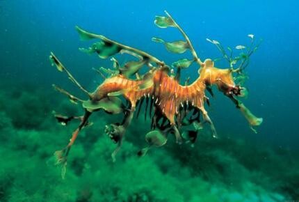 Tajemnice oceanu