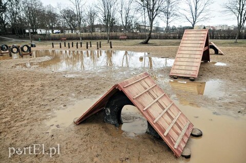 Psi park pod wodą