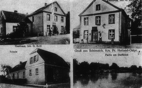 Historia okolic Elbląga: Od Siedliska do Dąbkowa (odc. 176) 