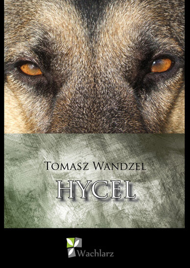 Hycel - posłuchaj!