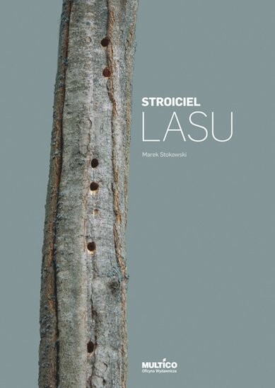 Stroiciel lasu - posłuchaj!