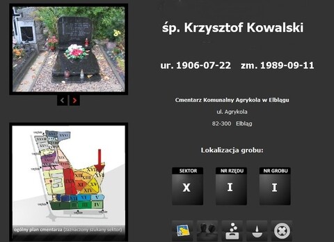 Agrykola w sieci, Dębica jeszcze nie