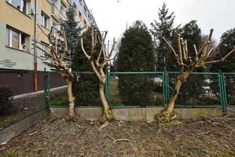 Ostre cięcie w Sielance, czyli czas na wiosenne porządki