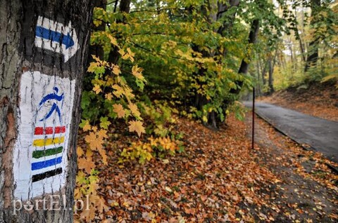 Te trasy mącą w głowie