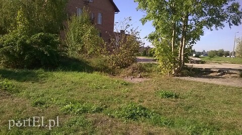 Nad rzeką posprzątali, w stawie nadal pełno śmieci