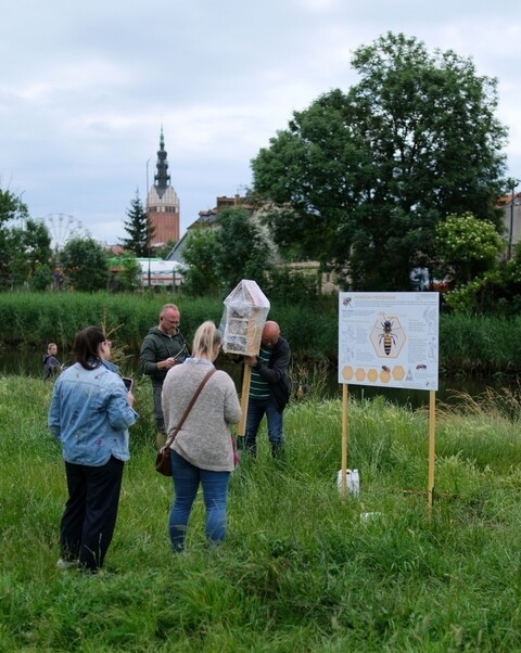 Zielony Zakątek do konsultacji