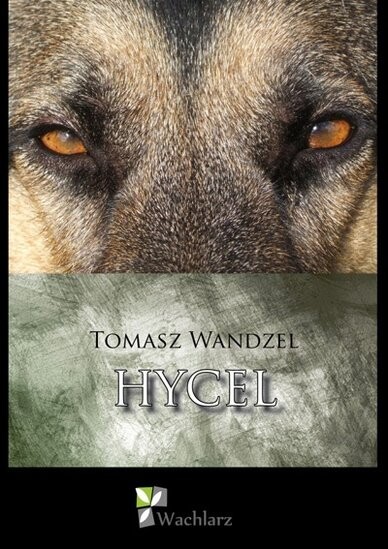 Tomasz Wandzel i jego nowa książka