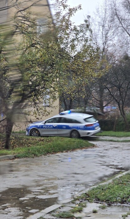 Tragedia na Pawiej