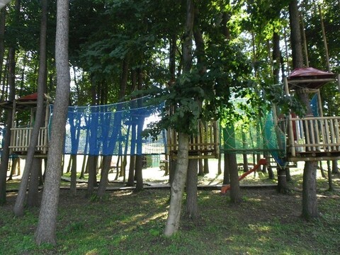 Park linowy: sprawdź czy wygrałeś