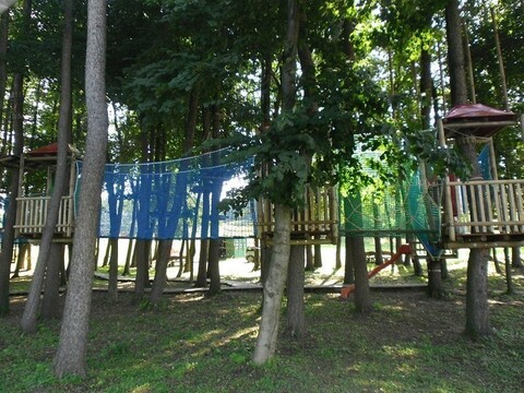 Park linowy: wygraj bilet