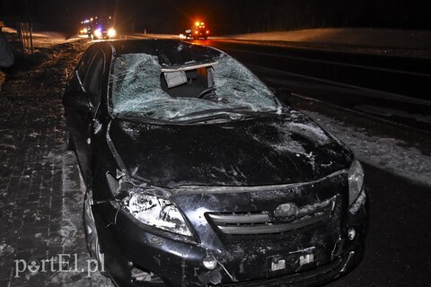 Trasa S22: Toyota i seat uderzyły w łosia