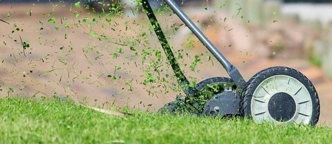 Trawa z mikrokoniczyną – nowoczesne rozwiązanie dla każdego ogrodu
