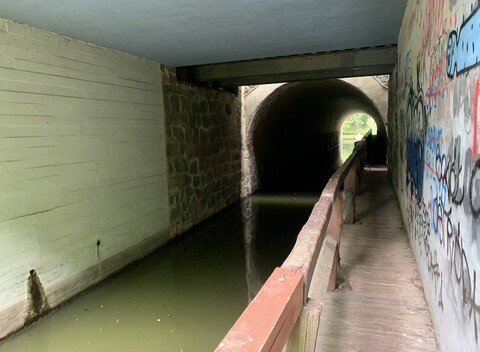 Śladami fortów nad Szelągiem (Na spacer z portElem, odc. 6) 