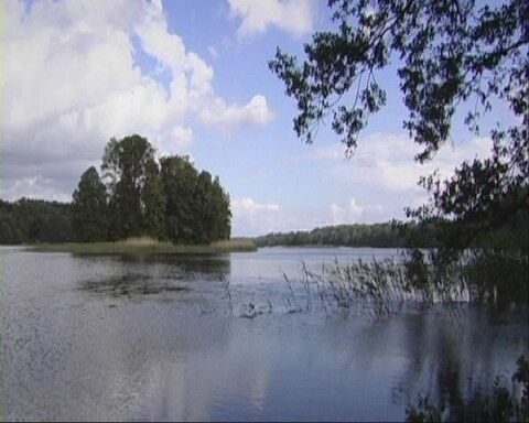 TvO: Gmina Małdyty