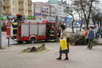 Uderzył w drzewo w centrum miasta