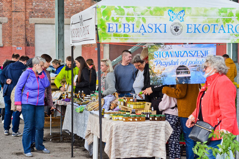 Urodzinowy jarmark elbląskiego Ekotargu