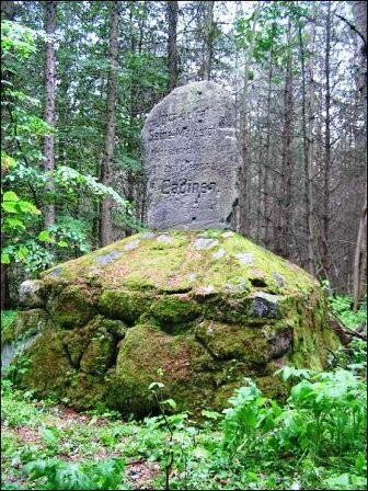 Ustawiono go na cześć cesarza (Opowieści z lasu, odc. 174)