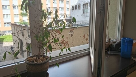 Uszczelkowy i natarczywy biznes