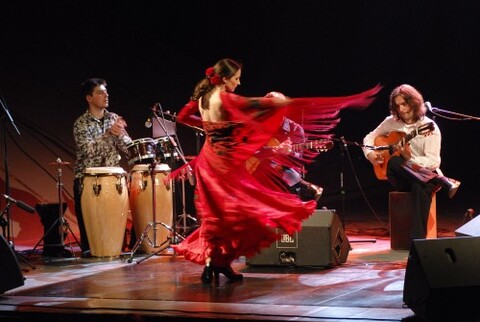 Viva flamenco!