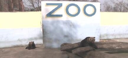 W Bażantarni powstanie ZOO