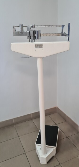 W Elblągu doszło do kradzieży wielkiej wagi