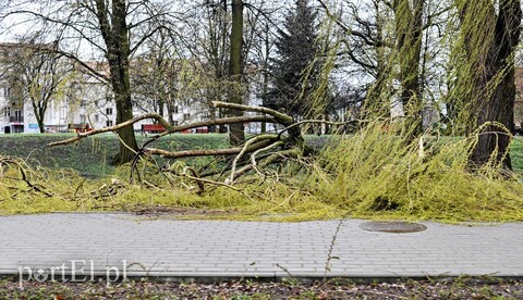 Wieje, na szczęście bez strat