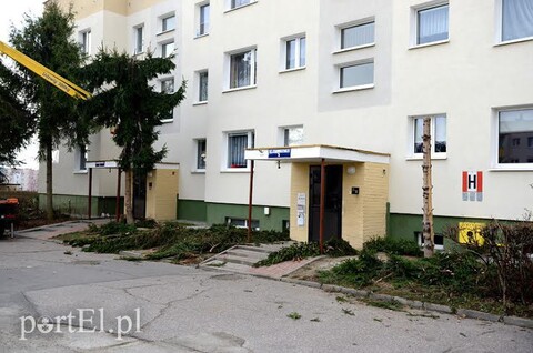 Nas nikt o zdanie nie pytał