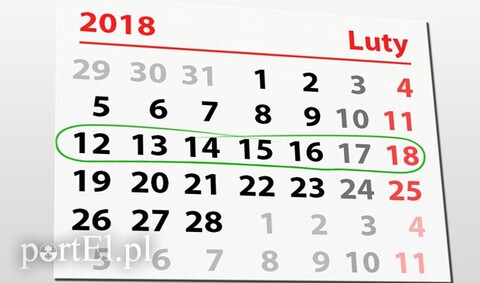 W tym tygodniu PortEl.pl poleca: rewię kotów, koncerty, spotkanie z poezją