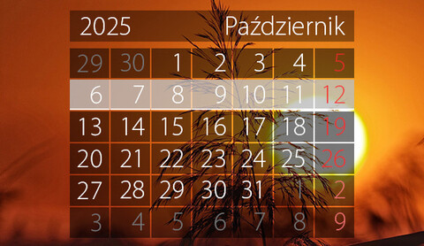 W tym tygodniu portEl poleca: warsztaty i spotkania