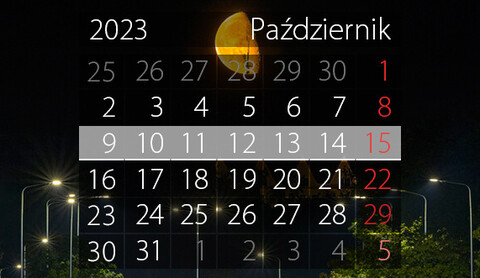 W tym tygodniu portEl poleca: Wielki Test Wiedzy, bajkowy koncert i spotkanie z Grynbergiem