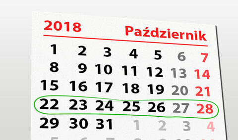 W tym tygodniu portEl poleca: Bieg na 6 łap i koncerty
