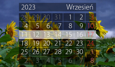 W tym tygodniu portEl poleca: Dni Seniora, Noc Muzeów, bitwa na Zalewie i planszówki