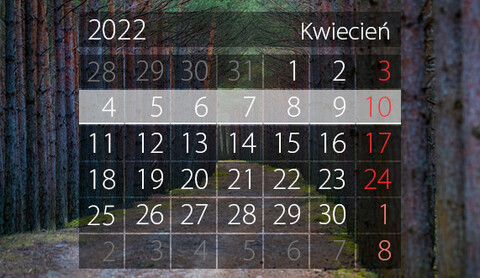 W tym tygodniu portEl poleca: Elbląg na dużym ekranie i jarmark wielkanocny