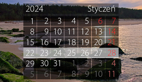 W tym tygodniu portEl poleca: ferie w mieście i finał WOŚP