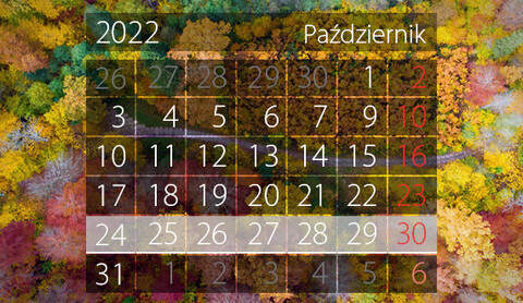 W tym tygodniu portEl poleca: grę miejską i targi skamieniałości