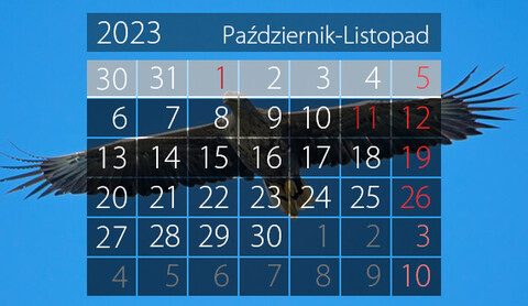 W tym tygodniu portEl poleca: Halloween w Galerii EL, parkrun i wystawy