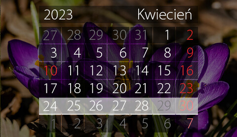 W tym tygodniu portEl poleca: Kino bez barier, wystawę archeologiczną i parkrun na 102