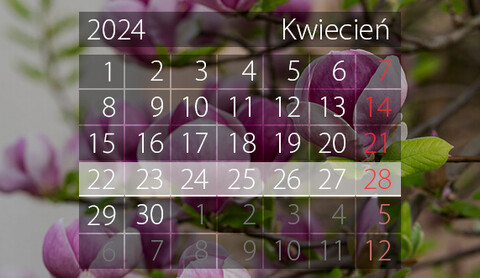 W tym tygodniu portEl poleca: Kino bez barier, Turniej Tańca Sportowego i tango z EOK
