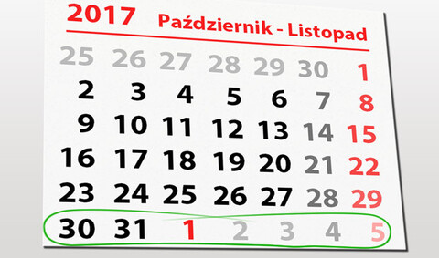 W tym tygodniu portEl poleca: koncert charytatywny dla Alanka