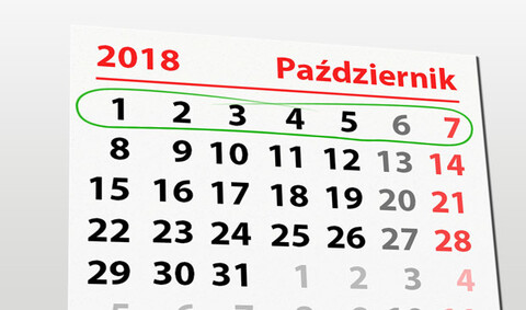 W tym tygodniu portEl poleca: ptasi piknik i wystawy