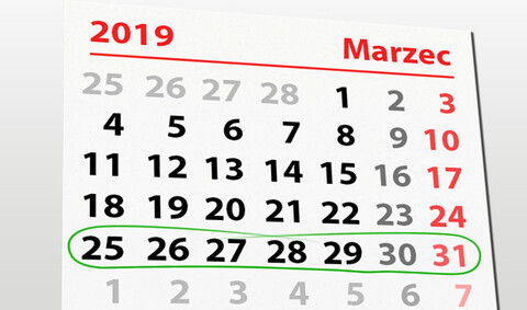 W tym tygodniu portEl poleca: sadzenie drzew z leśnikami i Aleksandry