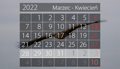 W tym tygodniu portEl poleca: spotkania autorskie i koncert wielkanocny