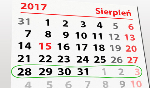 W tym tygodniu portEl poleca: Święto Chleba, Wyścig Smoczych Łodzi i Minim Experiment