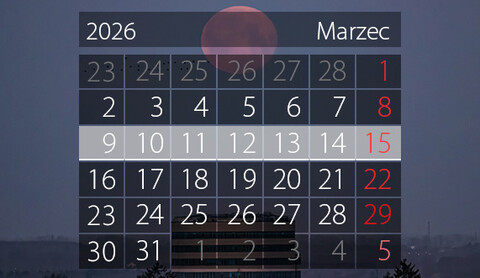 W tym tygodniu portEl poleca: wernisaż, biegi i basen